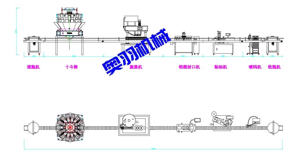 瓶裝顆粒稱重灌裝生產(chǎn)線_http://roamate.cn_瓶裝灌裝生產(chǎn)線系列_第3張